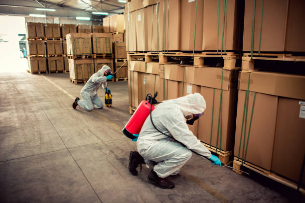 Best Pest Removal Services  in Manvel, TX