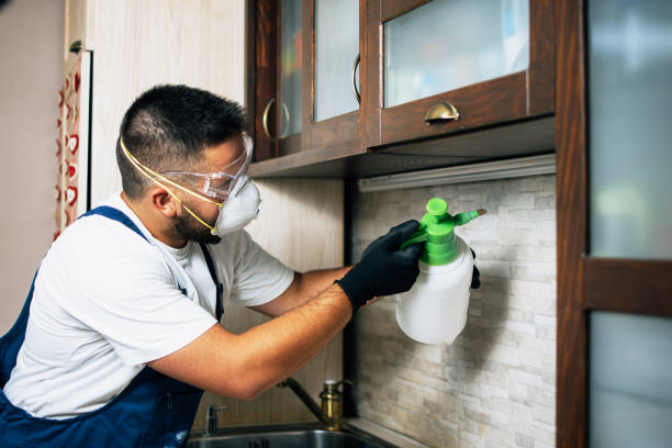  Manvel, TX Pest Control Pros