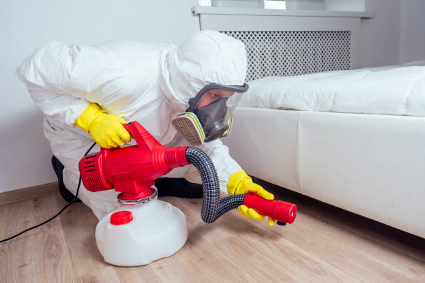 Best Local Pest Control Services  in Manvel, TX