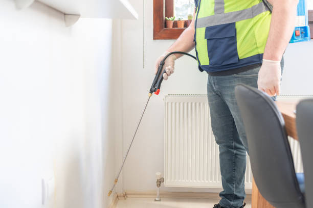 Best Pest Removal Services  in Manvel, TX