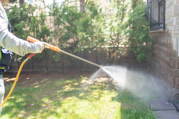Best Pest Prevention Services  in Manvel, TX